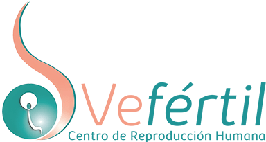 vefertil logo 2